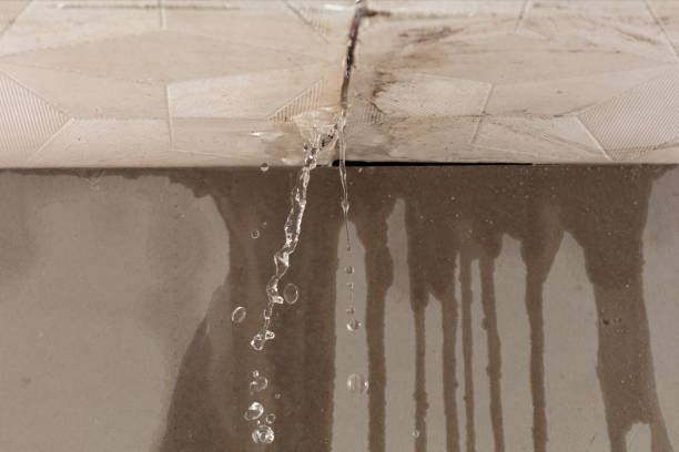 Professional Burst Pipe Cleanup technician working in Owings Mills, MD